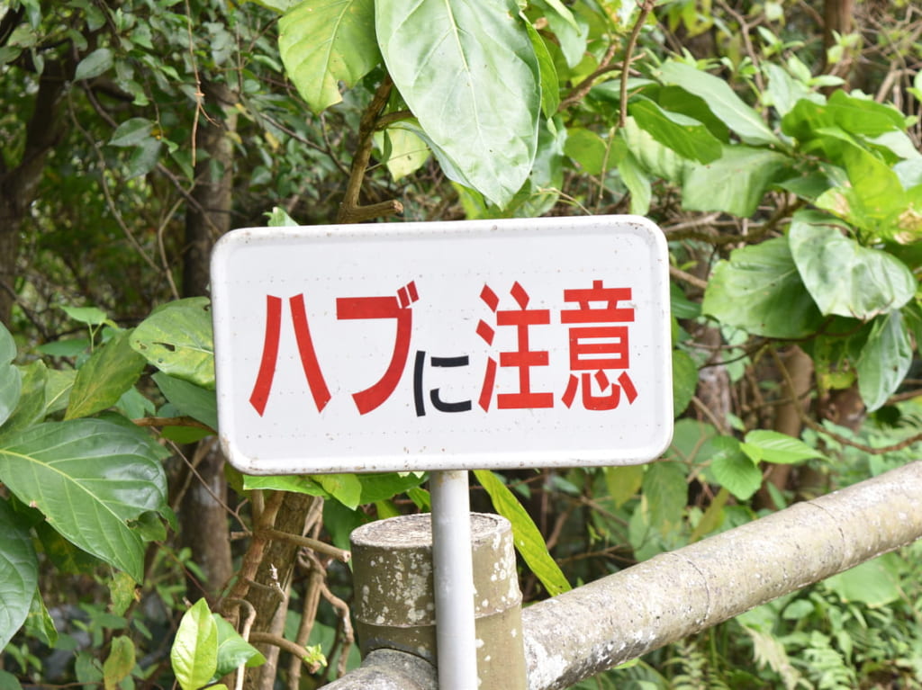 habu