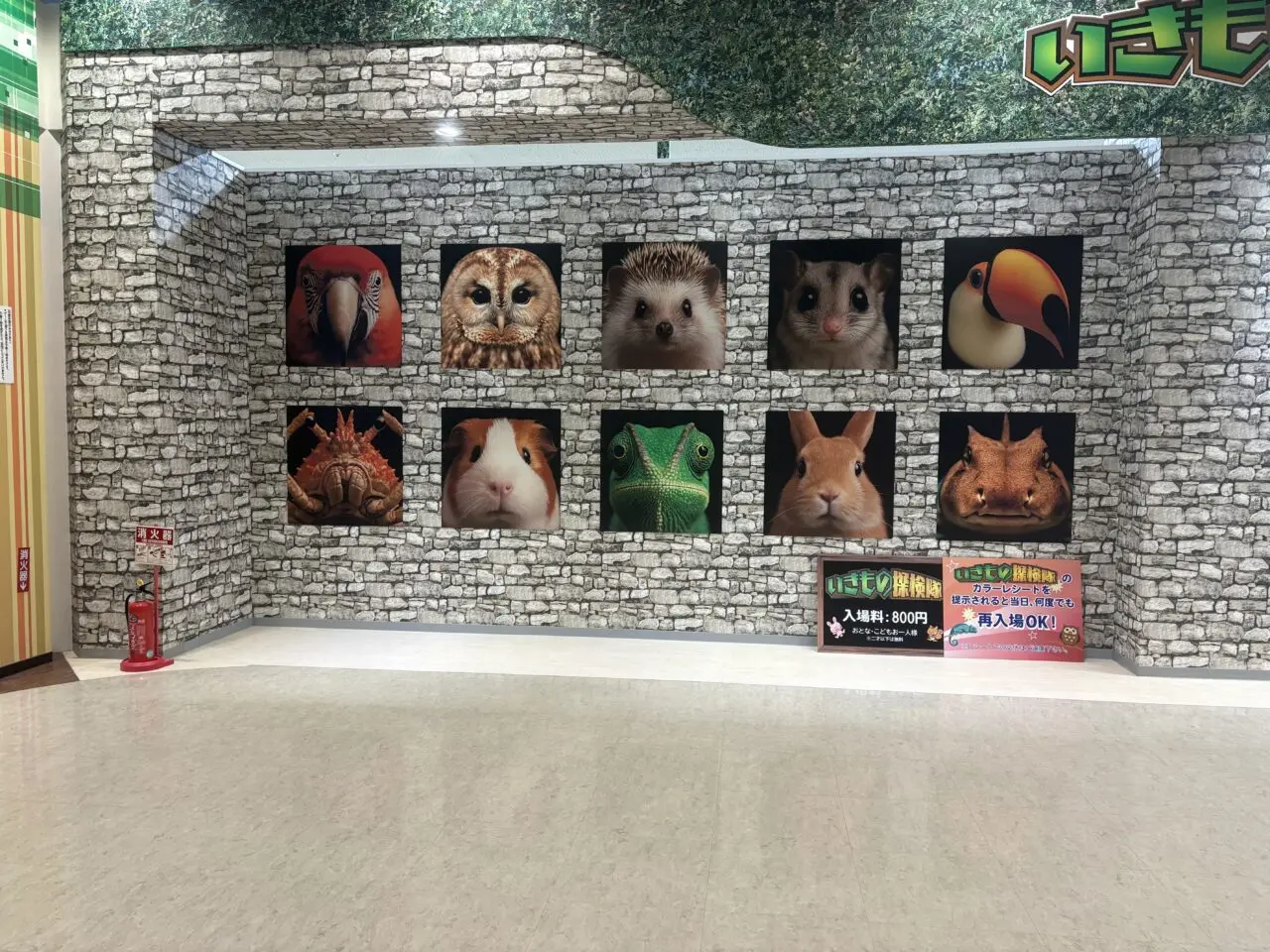 いきもの探検隊