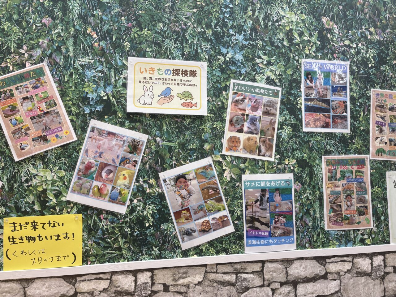 いきもの探検隊